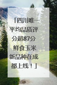 四川唯一平均品质评分超87分 鲜食玉米新品种在成都上线！