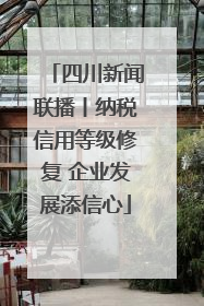 四川新闻联播丨纳税信用等级修复 企业发展添信心