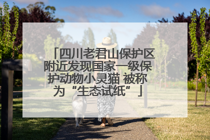 四川老君山保护区附近发现国家一级保护动物小灵猫 被称为“生态试纸”