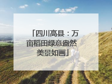 四川高县：万亩稻田绿意盎然 美景如画