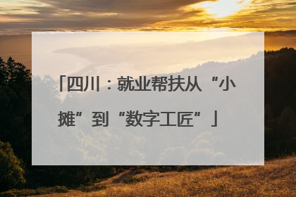 四川：就业帮扶从“小摊”到“数字工匠”