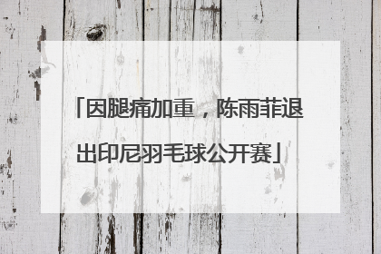 因腿痛加重，陈雨菲退出印尼羽毛球公开赛