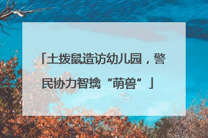 土拨鼠造访幼儿园，警民协力智擒“萌兽”