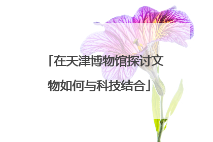 在天津博物馆探讨文物如何与科技结合