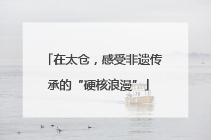 在太仓，感受非遗传承的“硬核浪漫”
