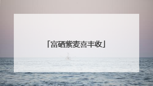 富硒紫麦喜丰收