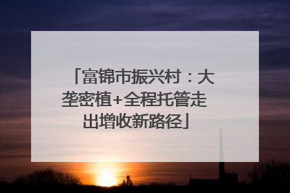 富锦市振兴村：大垄密植+全程托管走出增收新路径