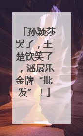 孙颖莎哭了，王楚钦笑了，潘展乐金牌“批发”！