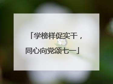 学榜样促实干，同心向党颂七一