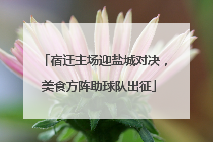 宿迁主场迎盐城对决，美食方阵助球队出征