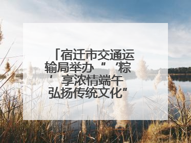 宿迁市交通运输局举办“‘粽’享浓情端午 弘扬传统文化”道德讲堂活动