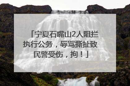 宁夏石嘴山2人阻拦执行公务，辱骂撕扯致民警受伤，拘！
