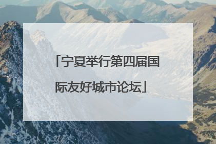 宁夏举行第四届国际友好城市论坛