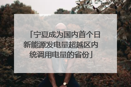 宁夏成为国内首个日新能源发电量超越区内统调用电量的省份