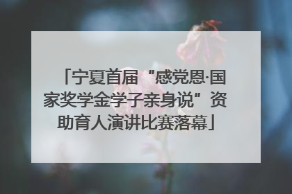 宁夏首届“感党恩·国家奖学金学子亲身说”资助育人演讲比赛落幕