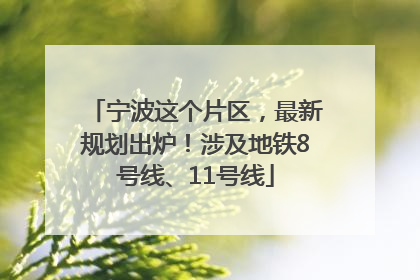 宁波这个片区，最新规划出炉！涉及地铁8号线、11号线