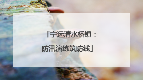 宁远清水桥镇：防汛演练筑防线