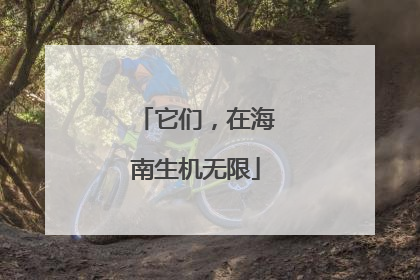 它们，在海南生机无限