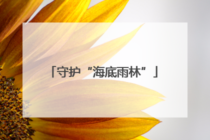 守护“海底雨林”