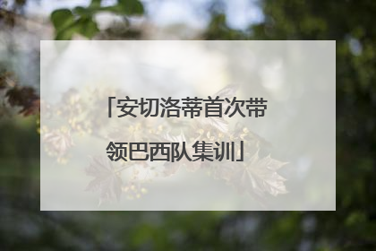 安切洛蒂首次带领巴西队集训