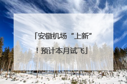 安徽机场“上新”！预计本月试飞