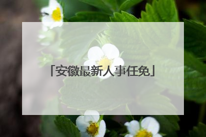 安徽最新人事任免