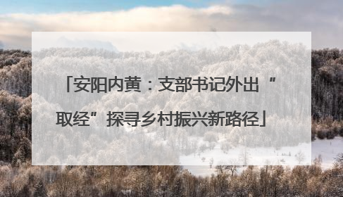 安阳内黄：支部书记外出“取经”探寻乡村振兴新路径
