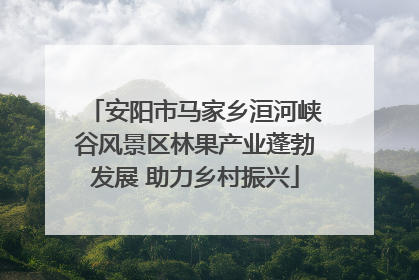 安阳市马家乡洹河峡谷风景区林果产业蓬勃发展 助力乡村振兴