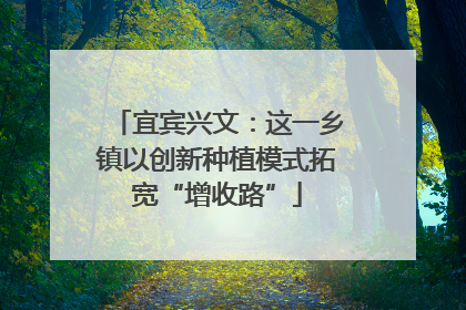 宜宾兴文：这一乡镇以创新种植模式拓宽“增收路”