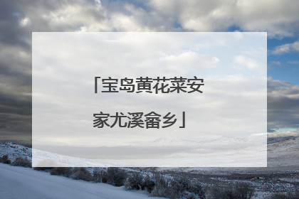 宝岛黄花菜安家尤溪畲乡