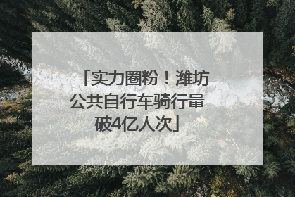 实力圈粉！潍坊公共自行车骑行量破4亿人次