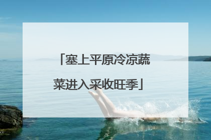 塞上平原冷凉蔬菜进入采收旺季