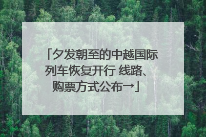 夕发朝至的中越国际列车恢复开行 线路、购票方式公布→