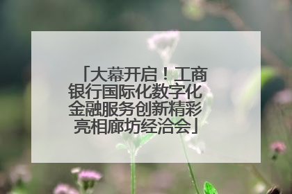 大幕开启！工商银行国际化数字化金融服务创新精彩亮相廊坊经洽会