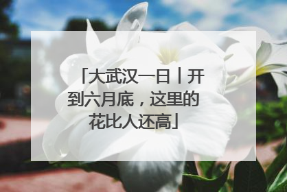 大武汉一日︱开到六月底，这里的花比人还高