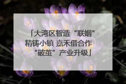大湾区智造“联姻”精铸小镇 嘉禾借合作“破茧”产业升级