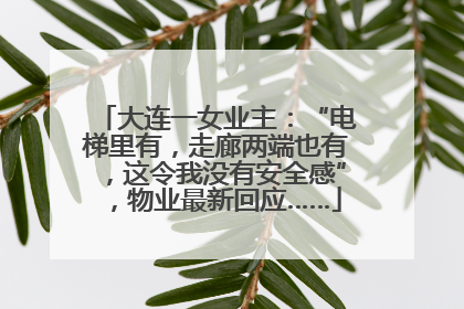 大连一女业主：“电梯里有，走廊两端也有，这令我没有安全感”，物业最新回应……