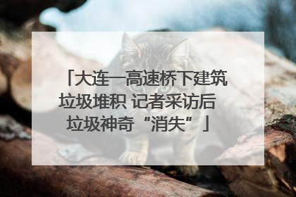 大连一高速桥下建筑垃圾堆积 记者采访后垃圾神奇“消失”