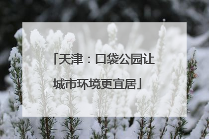 天津：口袋公园让城市环境更宜居