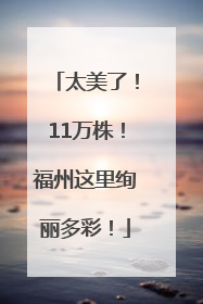 太美了！11万株！福州这里绚丽多彩！