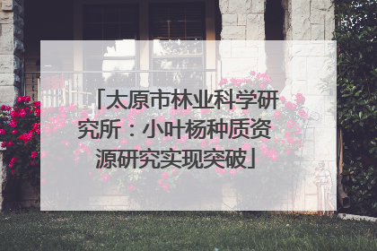 太原市林业科学研究所：小叶杨种质资源研究实现突破