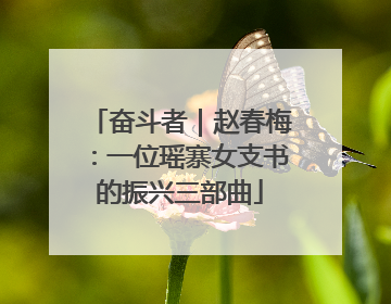 奋斗者｜赵春梅：一位瑶寨女支书的振兴三部曲