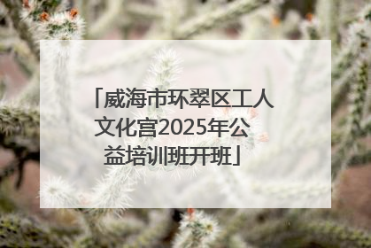 威海市环翠区工人文化宫2025年公益培训班开班