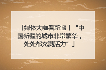 媒体大咖看新疆丨“中国新疆的城市非常繁华，处处都充满活力”