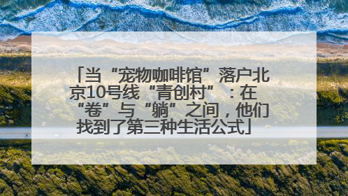 当“宠物咖啡馆”落户北京10号线“青创村”：在“卷”与“躺”之间，他们找到了第三种生活公式