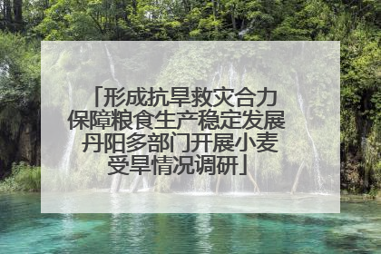 形成抗旱救灾合力 保障粮食生产稳定发展 丹阳多部门开展小麦受旱情况调研