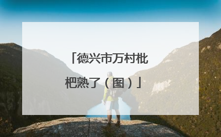 德兴市万村枇杷熟了（图）