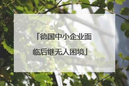 德国中小企业面临后继无人困境