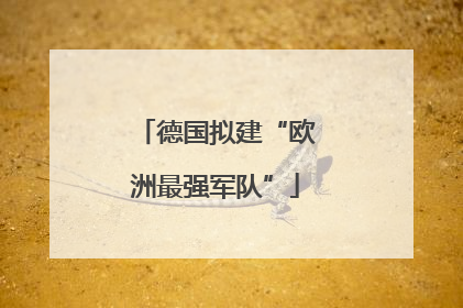 德国拟建“欧洲最强军队”