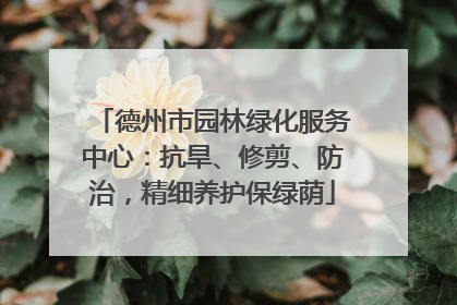德州市园林绿化服务中心：抗旱、修剪、防治，精细养护保绿荫